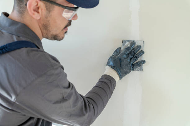 Best Mold Prevention Services  in Eden Prairie, MN