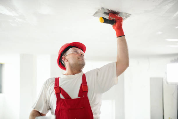  Eden Prairie, MN Mold Removal Pros