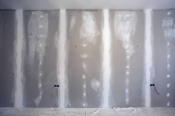 Best Basement Mold Removal  in Eden Prairie, MN